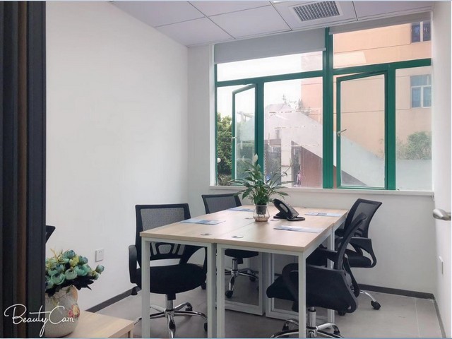 浙江不褪色塑料绿植哪家好